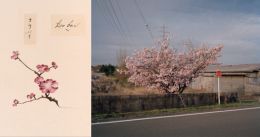 TK_0008-2.jpg